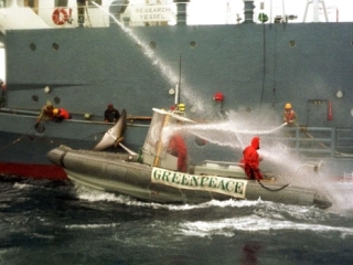 Представители экологической организации "Морские овечки" 28-летний австралиец Бенджамин Поттс и 35-летний британец Джейл Лейн были взяты в заложники командой японского китобойного судна Yushin Maru 2