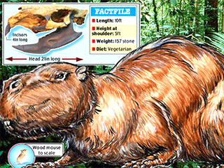 Череп огромной доисторической крысы, которая была размером с автомобиль, обнаружили палеонтологи в горных отложениях Уругвая