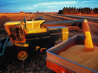 Инвестиции отыгрываются с лихвой: внутренние цены на зерно сопоставимы с мировыми, а труд - неизмеримо дешевле