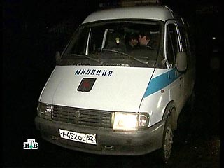 В Нижнем Новгороде милиция расследует серию убийств женщин, которые давали объявления в газеты о гадании и продаже щенков. 