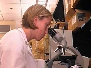 Биолог и предприниматель Крейг Вентер объявил о создании синтетической хромосомы