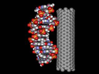 Препарат представляет собой углеродную нанотрубку с диаметром, равным диаметру ДНК. Нанотрубка связана с двумя веществами, которые обычно применяются для консервирования продуктов питания