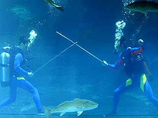 В Китае стартуют подводные Олимпийские Игры