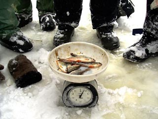 Сборная России выиграла чемпионат мира по ловле рыбы на мормышку
