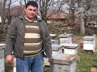 Македонский пчеловод отсудил у медведя 3,5 тысячи долларов за кражу меда