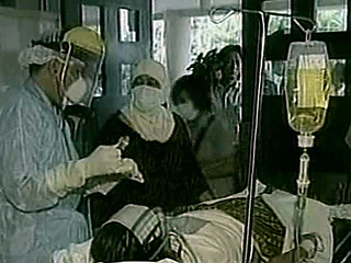 ООН предупреждает: вирус "птичьего гриппа" в Индонезии может мутировать и вызвать массовое заболевание людей