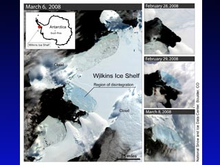От материковой Антарктиды на шельфе Вилкинса неожиданно откололся огромный ледник площадью около 570 квадратных км - приблизительно половина площади Москвы
