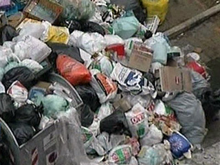 Немецкие ученые предупреждают домовладельцев, что хранение органических отходов опасно для здоровья