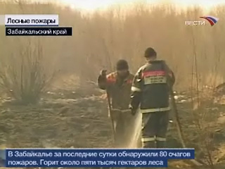 За последние двое суток площадь лесных пожаров в Забайкальском крае увеличилась на 2 тыс. 300 га