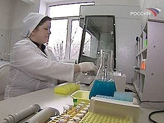 Птичий грипп в Приморье подтвержден, эпидемию удалось остановить