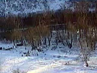 Установлена личность одного из пяти пропавших на Колыме оленеводов, тело которого было обнаружено под снежной лавиной в Северо-Эвенском районе