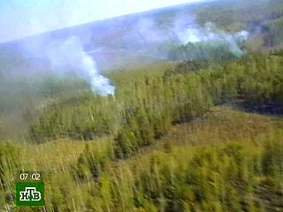В Приморье создается единая диспетчерская служба для координации усилий при тушении лесных пожаров