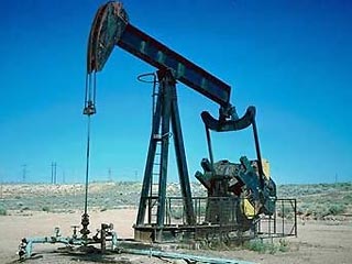 Экспертная оценка: цена барреля нефти к 2010 году достигнет 150 долларов, а к 2012 - 225 долларов