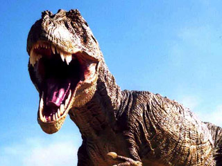 Британские ученые выяснили, что куры произошли от тираннозавров