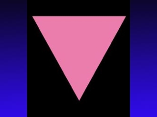 В концентрационных лагерях на одежду геев нашивались розовые треугольники, точно так же, как все евреи должны были носить желтые шестиконечные звезды. С тех пор розовый треугольник является международным символом ЛГБТ-движения