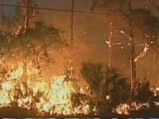 Сотни людей эвакуированы из охваченных лесными пожарами центральных районов американского штата Флорида
