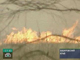В Красноярском и Хабаровском крае, Прибайкалье, Туве и на Алтае уже сгорели около 30 тысяч гектаров леса