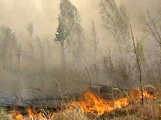Количество лесных пожаров на территории России за прошедшие сутки увеличилось в 1,5 раза, а их площадь возросла в 1,2 раза