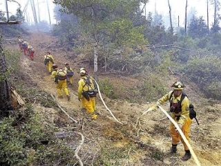 Вертолеты и самолеты противопожарной службы, а также больше трех тысяч брандмейстеров принимают участие в ликвидации мощного лесного пожара в центральной части Калифорнии
