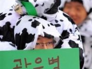 Премьер-министр Южной Кореи Хан Сын Су потребовал сурового наказания для участников стихийных демонстраций против возобновления импорта американской говядины, которые уже несколько дней потрясают Сеул