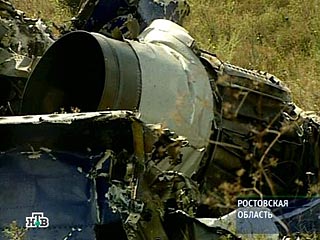 Новосибирский областной суд отказал авиакомпании "Сибирь" в удовлетворении кассационной жалобы на решение по иску семьи Басюк, потерявшей кормильца в авиакатастрофе самолета Ту-154 в Ростовской области в августе 2004 года