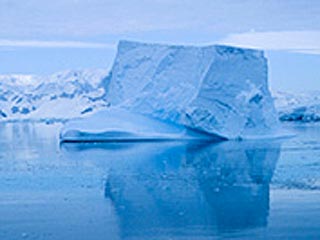 Гигантский антарктический айсберг будет назван Тающим Бобом - такое имя дал ему шестилетний школьник Макс Долан из английского города Уинчестер