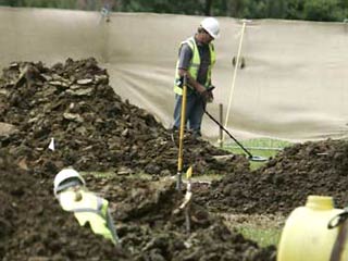 Во Франции группа археологов, проводящих раскопки на месте предполагаемой братской могилы времен Первой мировой войны, обнаружили первые человеческие останки