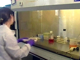 Правительство Великобритании внесло новую поправку в законодательство, согласно которой ученым разрешат использовать ткани умерших людей для создания клонированных стволовых клеток в исследовательских целях