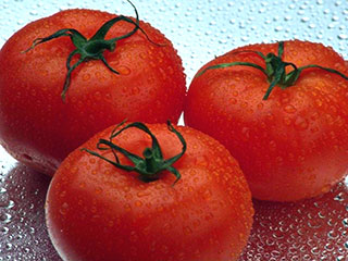 В США произошла вспышка сальмонеллеза, причиной которой стали красные сырые томаты и блюда с их использованием, в результате которой уже госпитализировано 17 человек