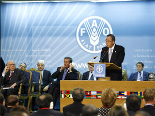 Участники продовольственного саммита ООН в Риме решили, что при обсуждении проблеме стремительного роста мировых цен на продовольствие чревоугодничать некрасиво