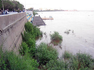 Роспотребнадзор запретил купание в Амуре: качество воды в реке представляет эпидемиологическую опасность