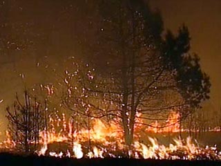 Лесные пожары в Юрмале разгораются накануне проведения праздничных мероприятий по случаю Дня России
