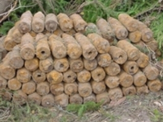 Полиция уезда Дуннин северо-восточной китайской провинции Хэйлунцзян при проверке пункта приема металлолома обнаружила 42 артиллерийских снаряда разных калибров времен Второй мировой войны