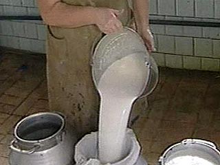 ФАС начала проверку "молочных рек" - производители ответят за низкие цены на сырое молоко