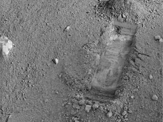 Космический аппарат "Феникс" в ходе раскопок на поверхности Марса, возможно, обнаружил кусочки льда
