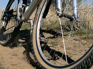 Ученые советуют правильно выбирать велосипед, чтобы избежать проблем с сексом