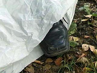 На мусороперерабатывающем заводе под Петербургом обнаружены отчлененные останки человека
