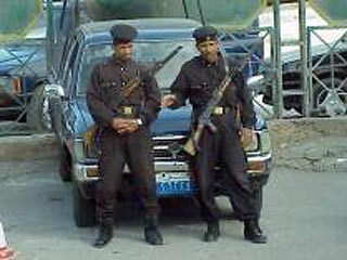 Египетские полицейские в ходе рутинного досмотра автомобиля на одном из блокпостов Синайского полуострова обнаружили в багажнике легковушки целый зверинец