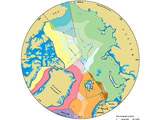 Британские ученые составили карту раздела Арктики, чтобы не было распрей за богатства: там есть место и для США