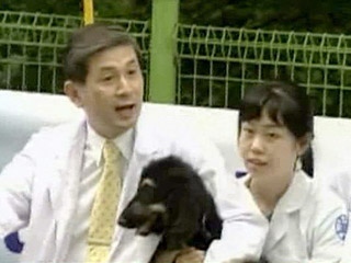 Первая клонированая собака, афганская борзая Снаппи появилась на свет в 2005 году