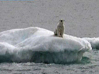 Северный полюс впервые в истории человечества стал островом