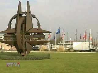 Страны НАТО согласны на вступление Украины и Грузии в Североатлантический альянс, заявил вице-президент США Ричард Чейни, находящийся с визитом в Италии