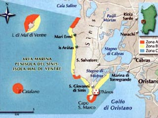 Группа сторонников независимости итальянской Сардинии в конце августа объявила "независимость" на небольшом островке Маль-ди-Вентре у западного побережья Италии