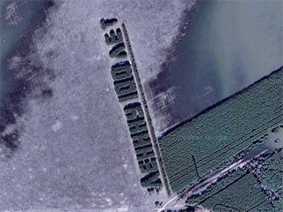 Снимки гигантского поздравления Владимиру Ленину, выполненного с помощью деревьев и адресованное космосу, удалось обнаружить с помощью картографического сервиса Google Earth