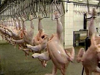 Россия с 1 ноября запрещает ввоз мясомолочной продукции из Белоруссии