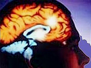 мозг человека начинает разрушаться в 39 лет, сразу после пика умственной активности