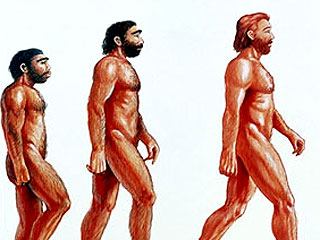 Эволюция вида Homo sapiens продолжается