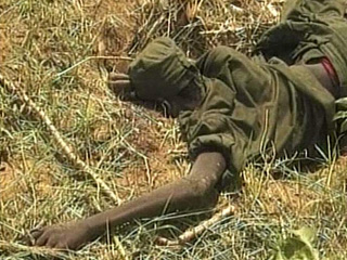 Тяжелые бои вспыхнули сегодня на востоке Эфиопии между правительственной армией и повстанцами из народа сомали. Мятежники пытаются взять город Шилабо