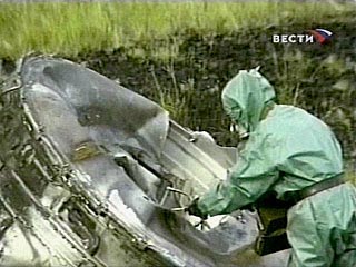Алтайский чабан, во двор которого упал обломок ракеты, получит более 100 тысяч рублей от "Роскосмоса"