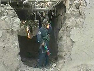 В Афганистане уничтожены 14 боевиков, власти заявили, что это мирные жители